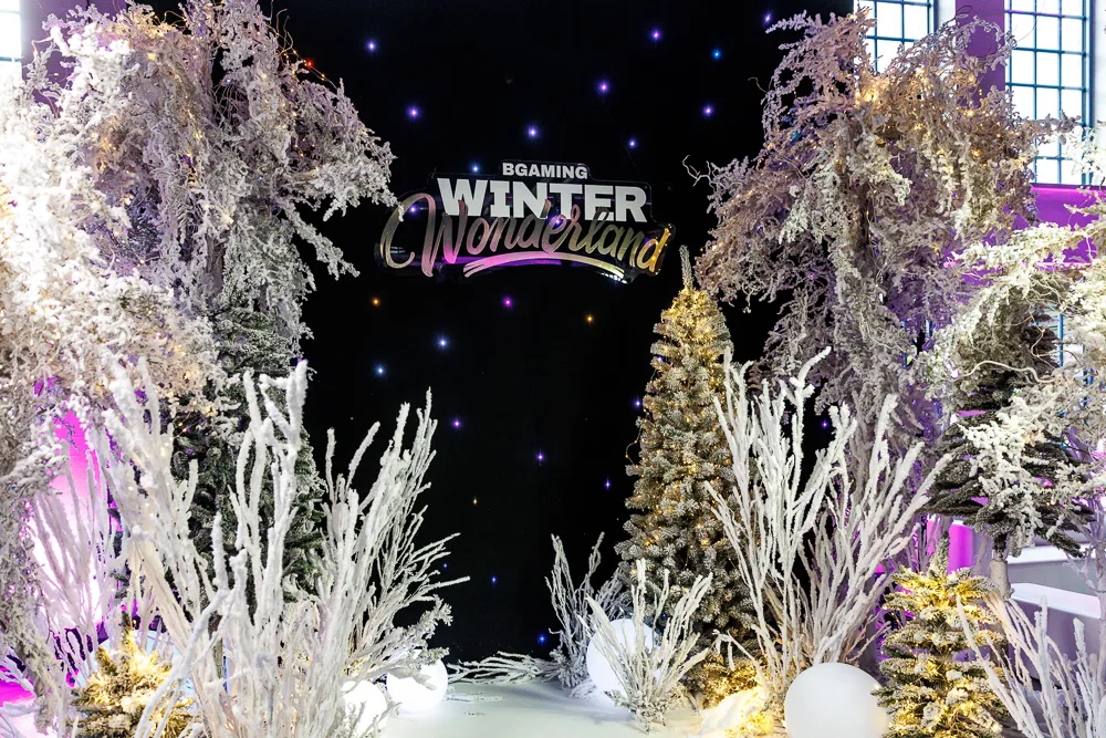 BGaming Winter Wonderland project photograph